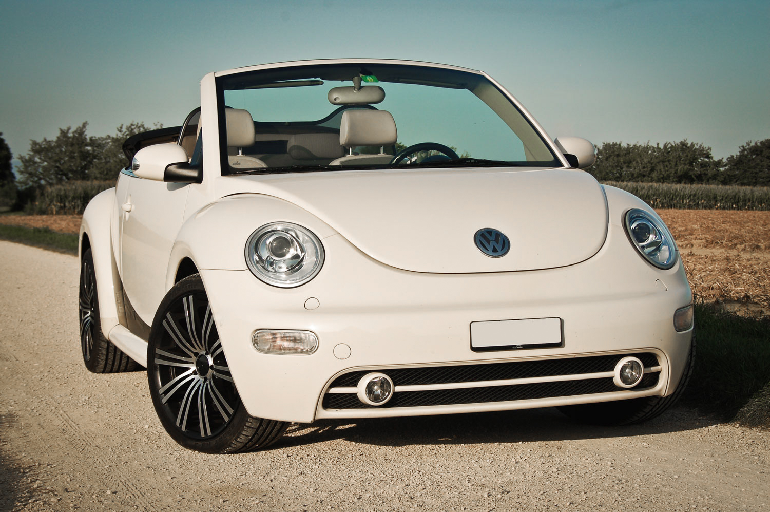 vw-beetle cabrio